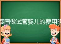 泰國做試管嬰兒的費用明細公開，一次大概花20萬左右