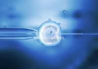 泰國哪家醫(yī)院是試管嬰兒最強(qiáng)大的醫(yī)院?這五家公司最受歡迎