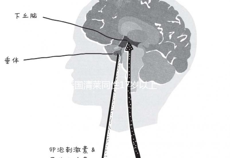 泰國清萊同性17歲以上便能結(jié)婚，在國內(nèi)承不承認(rèn)進(jìn)來看