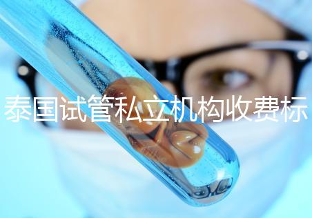 泰國試管私立機(jī)構(gòu)收費(fèi)標(biāo)準(zhǔn)公開,收費(fèi)透明,可靠