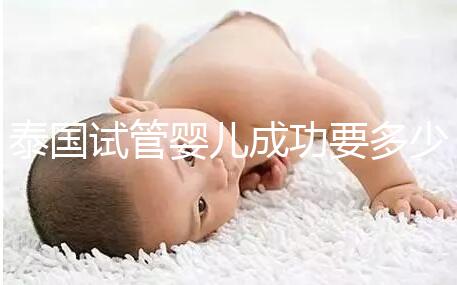 泰國試管嬰兒成功要多少錢?不成功怎么辦?