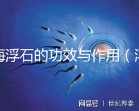海浮石的功效與作用(浮石為何叫癌癥之王)