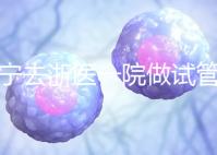 海寧去浙醫一院做試管嬰兒費用多少？成功率高嗎？