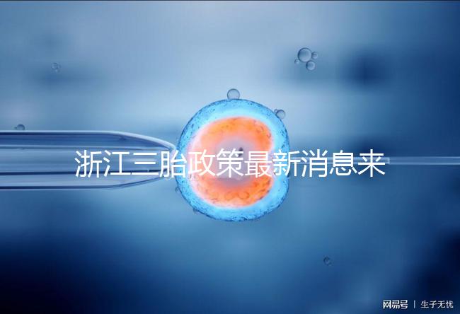 浙江三胎政策最新消息來襲,2024臺(tái)州有哪些補(bǔ)貼?