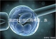 測出大白板也有希望,凍胚移植第六天的著床癥狀一覽!