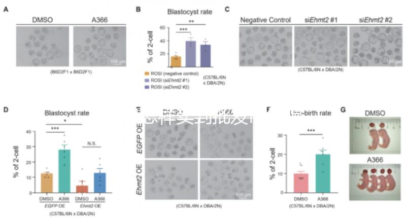 水果怎樣賣到批發市場呢(水果怎樣賣到批發市場呢視頻)