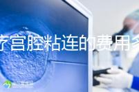 治療宮腔粘連的費(fèi)用多少?來聽聽這些患者怎么說!