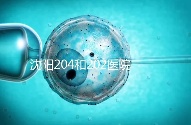 沈陽204和202醫院哪個好？東港市做過試管嬰兒的姐妹這樣說
