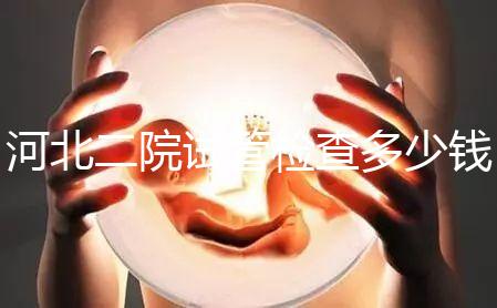 河北二院試管檢查多少錢公布，項(xiàng)目不同價(jià)格自然有所差異