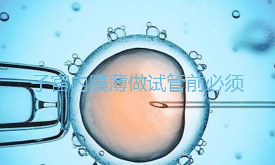 子宮內膜薄做試管前必須先調理好，調理方法在這里自??！