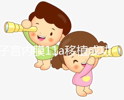 子宮內膜11a移植成功率解析，好不好、適不適合著床看這