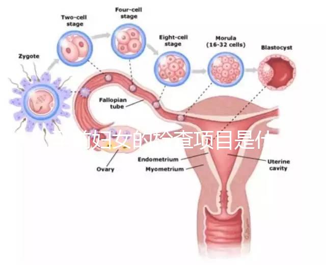 孕前婦女的檢查項目是什么?