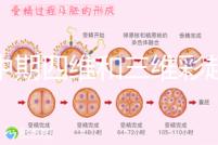 孕中期四維和三維彩超檢查區(qū)別真不小，看完便知誰更好