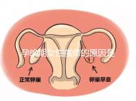 孕晚期女性瘙癢的原因是什么？