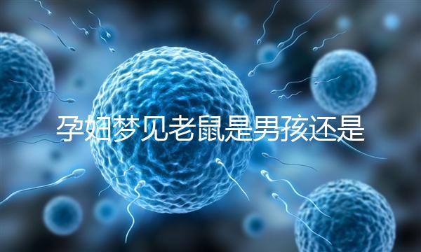 孕婦夢見老鼠是男孩還是女孩不再糾結，詳細預兆解讀看這