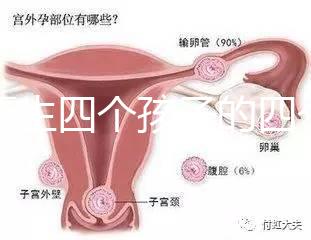 寧夏生四個孩子的四個女孩補貼多少2024年，給2萬元或非謠言