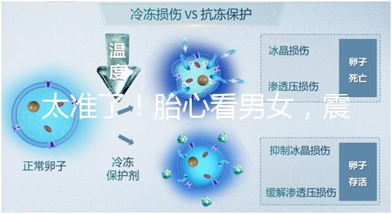 太準了!胎心看男女,震驚結果大于150就一定是女孩