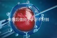 失獨(dú)后借卵生子好不好別還不造,供卵or領(lǐng)養(yǎng)過來人感受更深