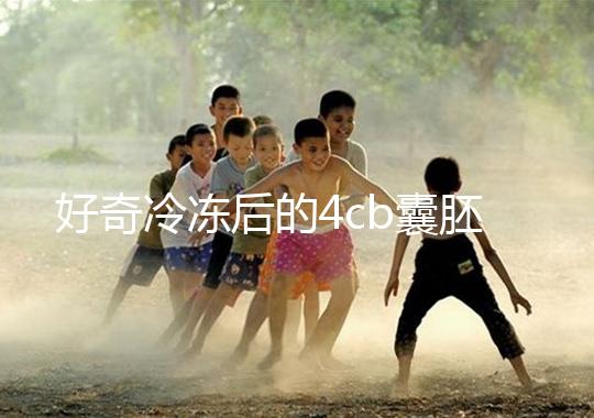 好奇冷凍后的4cb囊胚移植幾天著床看這，第七天別還不敢測