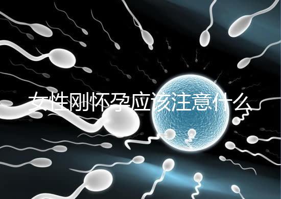 女性剛懷孕應(yīng)該注意什么？