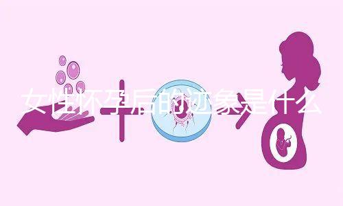 女性懷孕后的跡象是什么？