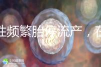 女性頻繁胎停流產，在拖“后腿”可能是精子碎片率