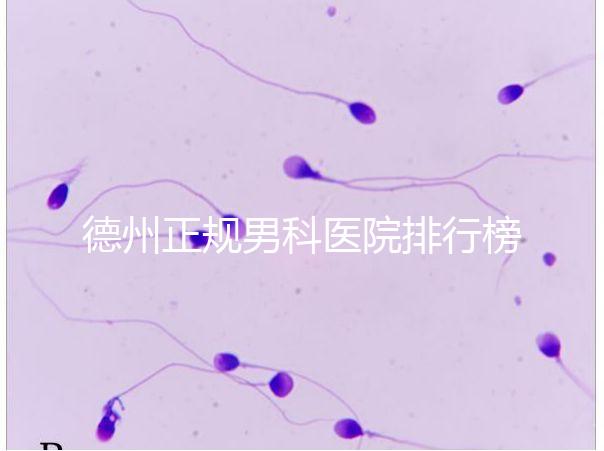 德州正規(guī)男科醫(yī)院排行榜分享！2024哪個最好一看便知