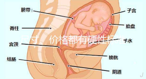 尺寸、價格都有硬性標準,選擇雙胞胎嬰兒床決不可大意!