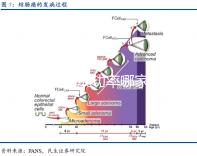 山東試管成功率哪家醫院比較好，可以選擇性別嗎？