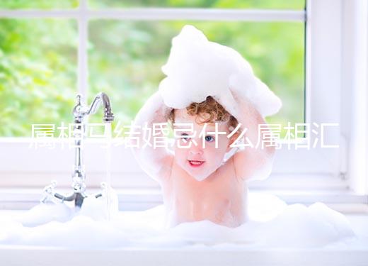 屬相馬結(jié)婚忌什么屬相匯總，2023和鼠、牛真相克請三思