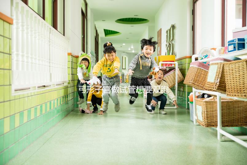 弓形子宮做試管想要雙胞胎,這4個(gè)條件成為攔路虎!