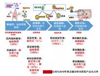 已生男寶說(shuō)說(shuō)懷孕特征,寶媽討論孕早期常見身體發(fā)熱