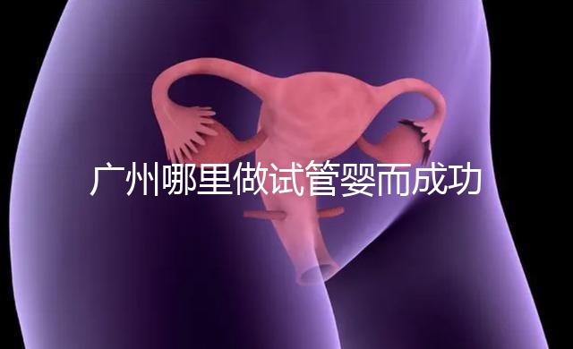 廣州哪里做試管嬰而成功率高？如何提高成功率？