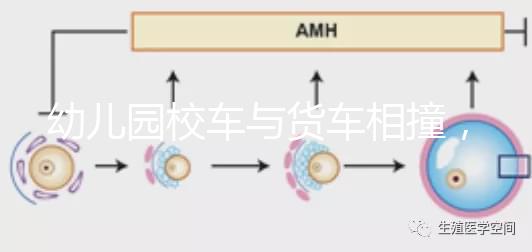 幼兒園校車與貨車相撞，乘坐校車要告訴寶寶注意事項(xiàng)！