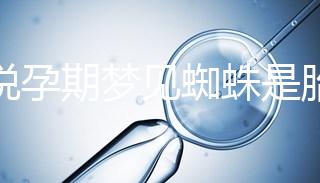 都說孕期夢見蜘蛛是胎夢，咬人、爬身上意思都不同快收藏