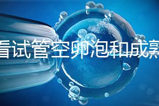 速看試管空卵泡和成熟卵泡能否區分開，這兩大技巧學起來