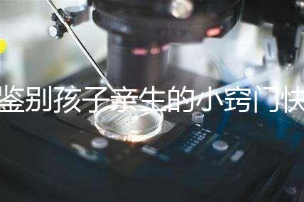 鑒別孩子親生的小竅門快收藏，取牙刷樣本準不準分情況