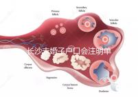 長沙未婚子戶口會注明單親家庭解密嗎？如果你不明白，來看看