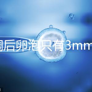 降調后卵泡只有3mm時不要慌，多吃豆類即可恢復正常