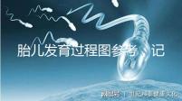 胎兒發(fā)育過(guò)程圖參考,記錄胚胎從一到九個(gè)月變化
