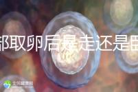 腹部取卵后是走還是臥床？適當走路喝點紅豆水是正確做法