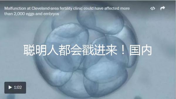 聰明人都會戳進來!國內試管嬰兒和泰國試管嬰兒優(yōu)缺對比