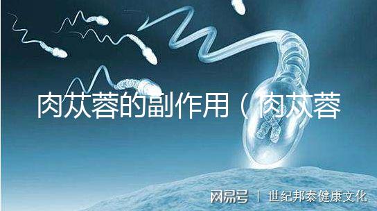 肉蓯蓉的副作用(肉蓯蓉會傷肝嗎)