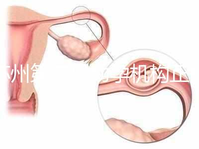 蘇州第三代助孕機構正規可靠嗎?實地考察才為真