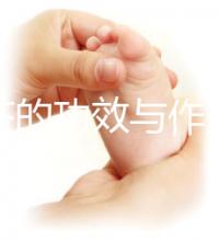 苦丁茶的功效與作用（苦丁茶的功效與作用是什么）