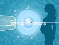 自然周期不能隨意取卵！滿足3點要求才能順利進行