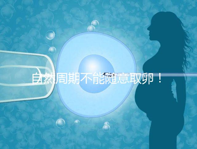 自然周期不能隨意取卵！滿(mǎn)足3點(diǎn)要求才能順利進(jìn)行