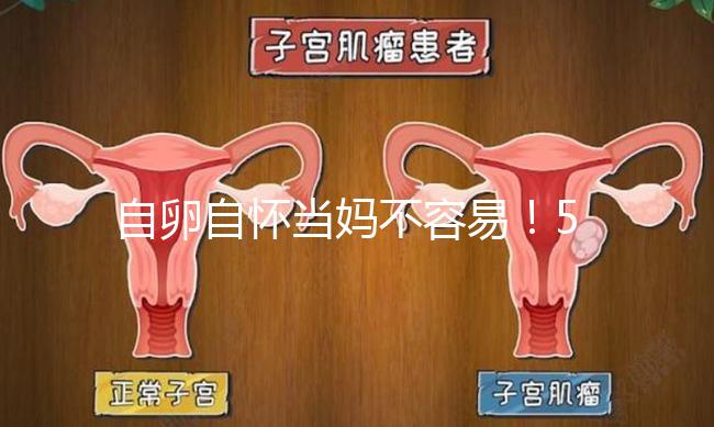 自卵自懷當(dāng)媽不容易!53歲做試管嬰兒這個案例真勵志
