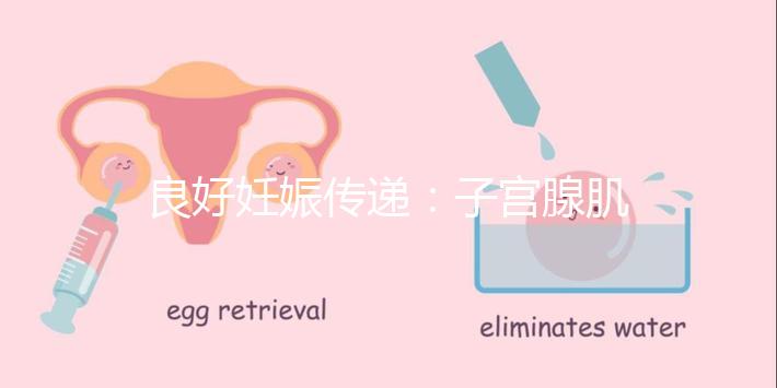 良好妊娠傳遞：子宮腺肌病，移植成功！