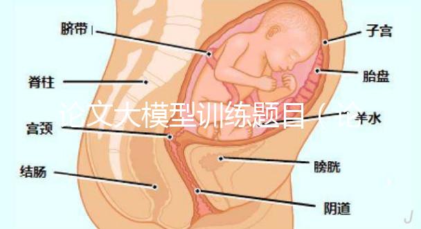 論文大模型訓練題目(論文大模型訓練題目怎么寫)